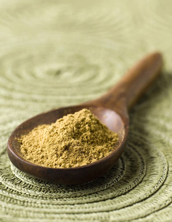 A spoonful of homemade chicken bouillon powder.